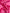 Pink Satin Pure Silk, Silk By The Yard, Silk Chiffon, Mulberry Silk.