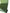 Green Silk Fabric, Moire Silk Fabric, Silk By The Yard. Watermark Pattern.