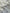 Embroidered Striped Shantung Textured Cotton Fabric – 100% Organic Cotton
