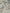 Embroidered Striped Shantung Textured Cotton Fabric – 100% Organic Cotton