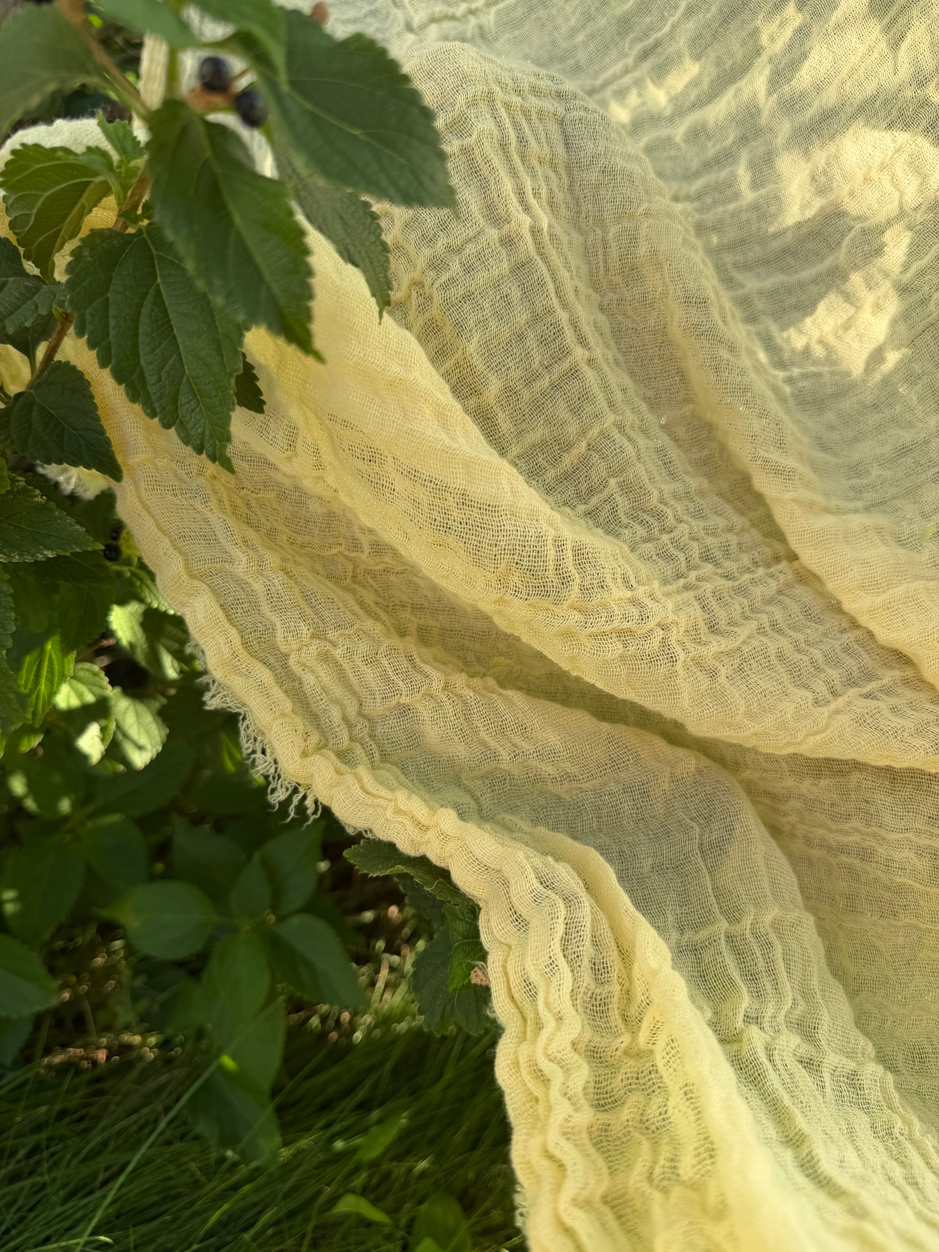 Stretchy Crinkle Cotton Fabric, Textured Surface, Black & Natural White & Butter Yellow
