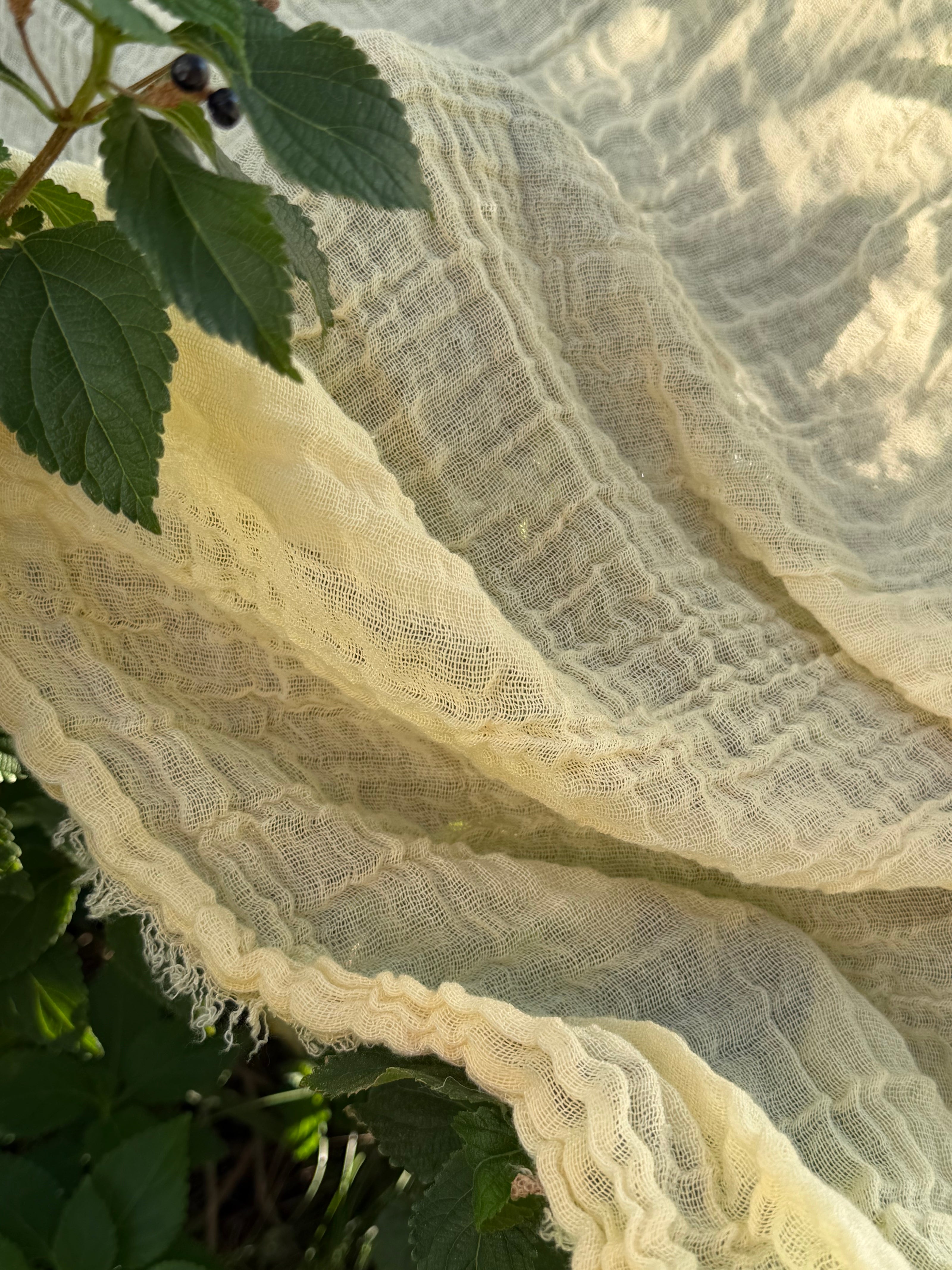 Stretchy Crinkle Cotton Fabric, Textured Surface, Black & Natural White & Butter Yellow