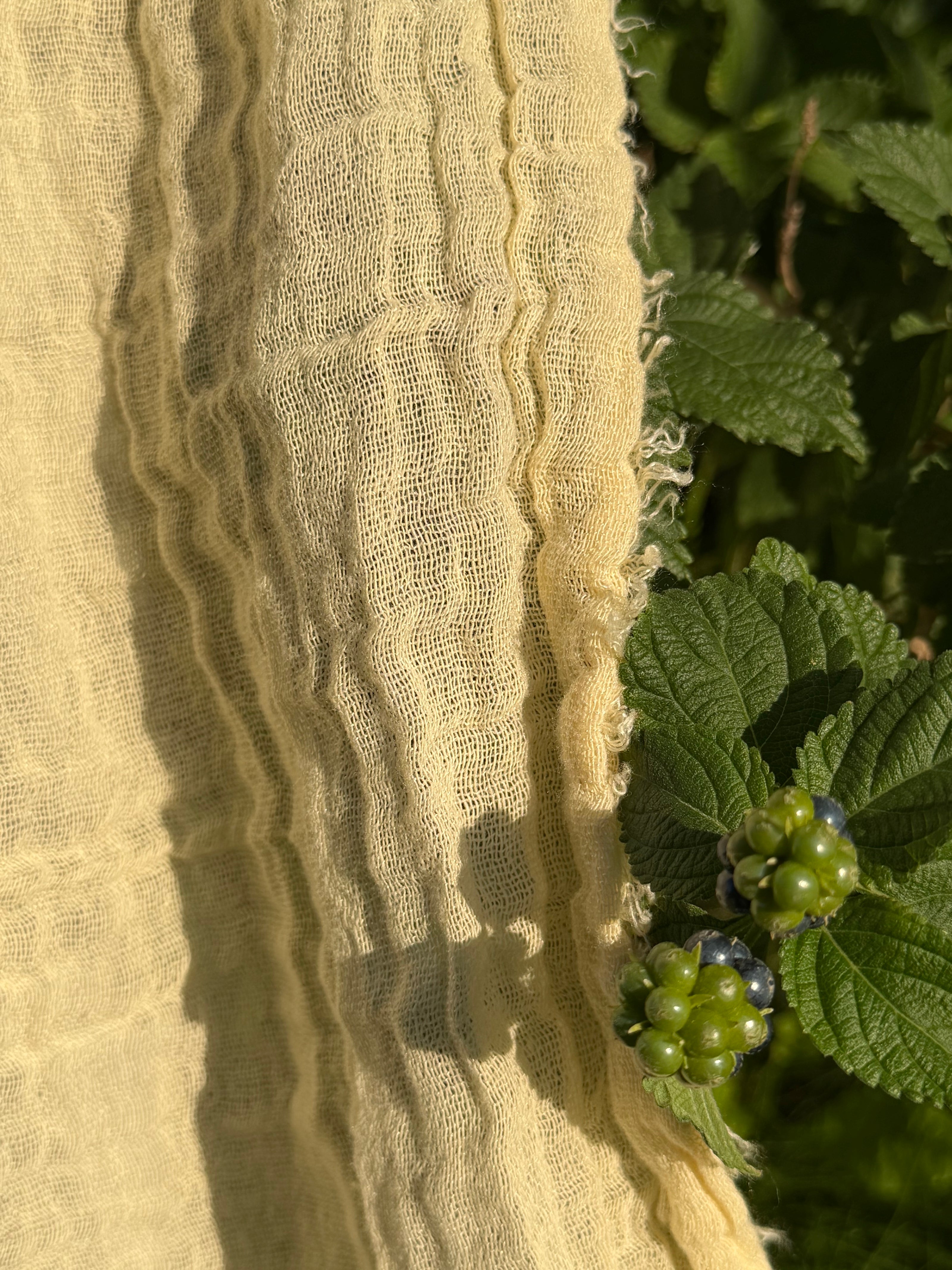 Stretchy Crinkle Cotton Fabric, Textured Surface, Black & Natural White & Butter Yellow