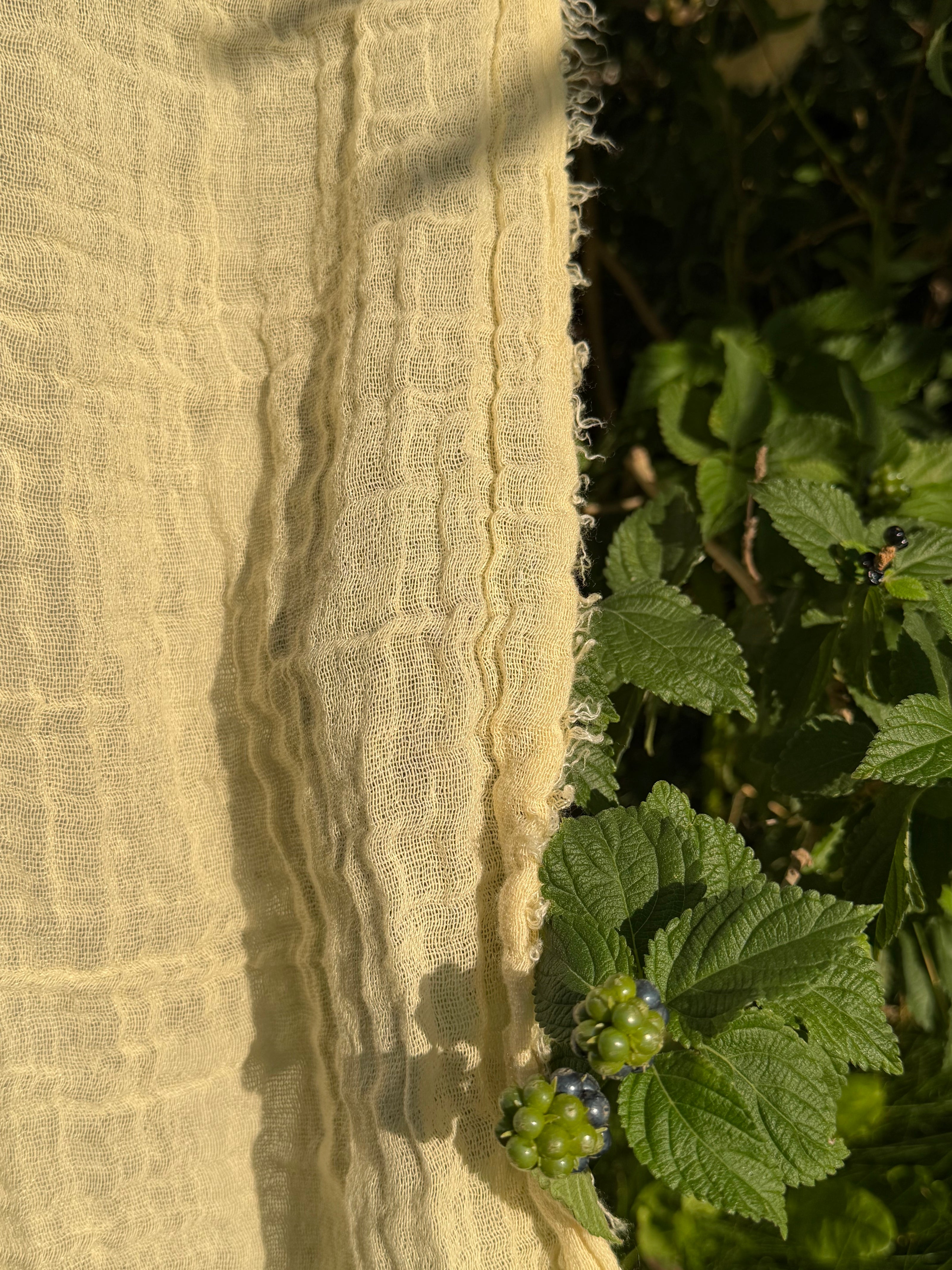 Stretchy Crinkle Cotton Fabric, Textured Surface, Black & Natural White & Butter Yellow