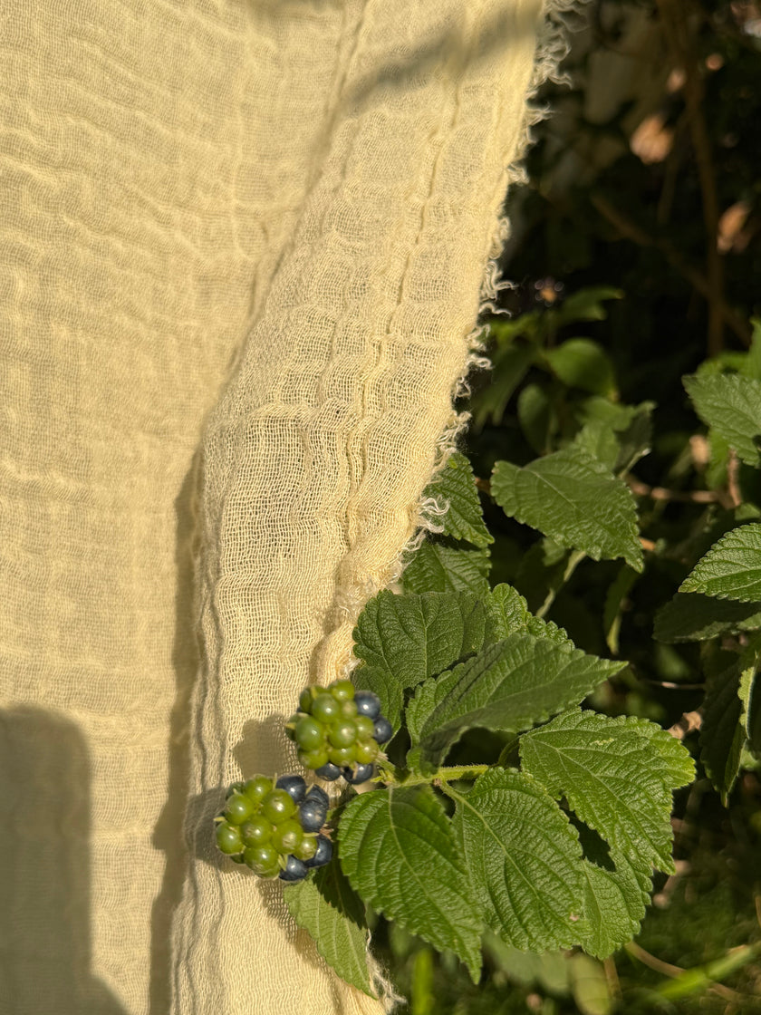 Stretchy Crinkle Cotton Fabric, Textured Surface, Black & Natural White & Butter Yellow