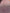Osmanlı Başlık İçin Pastel Pembe Lüks İpek Döşeme, Ev Tekstili İç Mekan Kumaşları: Yastık Kılıfları, Kimono Esintili Tasarımlar, Filigran Desenleri.