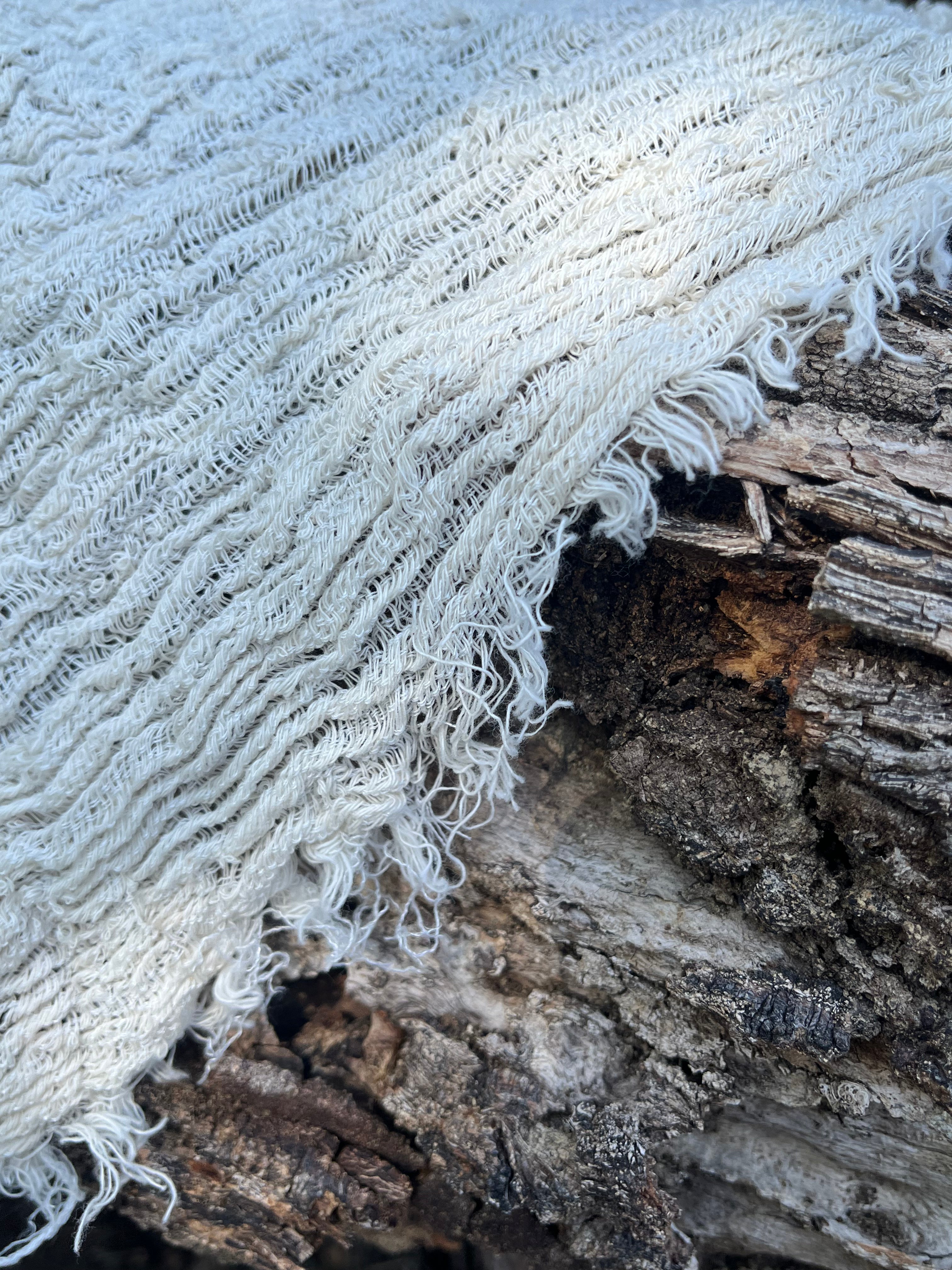 Organic Cotton Fabric, Textured Handloom Semi-Sheer Natural Fabrics ...
