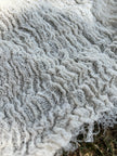 Tissu en lin par cour, tissu en coton biologique, tissus naturels semi-transparents texturés / non blanchis, blanc ivoire.
