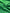 Green  Home Textile Interior Fabrics, Watermark Pattern.