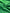 Green  Home Textile Interior Fabrics, Watermark Pattern.