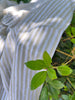 Beige Striped- Black Striped- Brown Striped Neutral Organic Cotton Fabric.