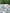 Check Weave Sheer Neutral Cotton Fabric