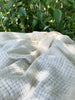 Check Weave Sheer Neutral Cotton Fabric