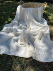Check Weave Sheer Neutral Cotton Fabric
