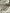 Neutral Stretchy Crinkle Cotton Fabric, Textured Surface,Off White Ivory Cotton Fabric, Light Weight.