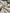 Ecru Cotton Gauze Fabric By The Meter, Neutral Undyed Pin Stripes.