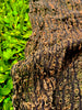 Brown Linen Textured Linen Fabric By The Yard Natural Fabrics.