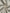 Ecru Cotton Gauze Fabric By The Meter, Neutral Undyed Pin Stripes.