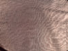 Light Brown Silk Moire Home Textile Interior Fabrics, Watermark Patterns.
