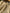 Ivory Unbleached Gauze Organic Cotton Fabric With Glitter Stripes, Silver & Gold