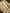 Ivory Unbleached Gauze Organic Cotton Fabric With Glitter Stripes, Silver & Gold