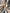 Check Weave Sheer Neutral Cotton Fabric