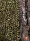 Green Linen Fabric By The Yard Textured Handloom Semi-Sheer Natural Fabrics.
