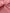 Pastel Pink Silk Moire Fabric, Watermark Pattern.