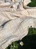 Muslin Fabric Green-Pink Shades Pin Stripes With Glitter.