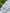 Organic Cotton Washed Softened Etamine Fabric.