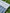 Muslin Fabric By The Yard - Blue White Stripes - Undyed Natural Option