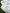 Organic Cotton Washed Softened Etamine Fabric.