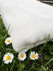 Organic Cotton Washed Softened Etamine Fabric.