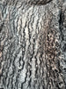 Black White Unique Natural Sheer, Textured Cotton Linen Mix Special Fabrics.