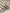 Unbleached Neutral Ivory Colour Black Striped Crinkle Gauze Fabric, Sile Cloth. Sile Fabric.