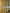 Multi Color Striped Pattern Moiré Fabric By The Yard.