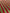 Multi Color Striped Pattern Moiré Fabric By The Yard.