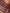 Multi Color Striped Pattern Moiré Fabric By The Yard.