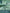 Green Ikat Silk Moire Home Textile Interior Fabrics, Watermark Pattern.