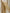 Neutral Stretchy Crinkle Linen Fabric, Textured Surface.