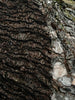 Brown Linen Textured Linen Fabric By The Yard Natural Fabrics.