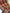 Orange Ikat Striped Home Textile Interior Fabrics