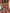 Orange Ikat Striped Home Textile Interior Fabrics
