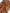 Satin Silk Weave, Ethnic Pattern Home Textile Interior Fabrics, Traditional Syrian Fabrics