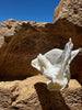 Tissu en lin par cour, tissu en coton biologique, tissus naturels semi-transparents texturés / non blanchis, blanc ivoire.