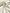 Muslin Fabric By The Yard - Blue White Stripes - Undyed Natural Option