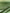 Green Silk Fabric, Moire Silk Fabric, Silk By The Yard. Watermark Pattern.