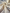 Ecru Cotton Linen Fabric By The Meter, Neutral Undyed Pin Stripes.