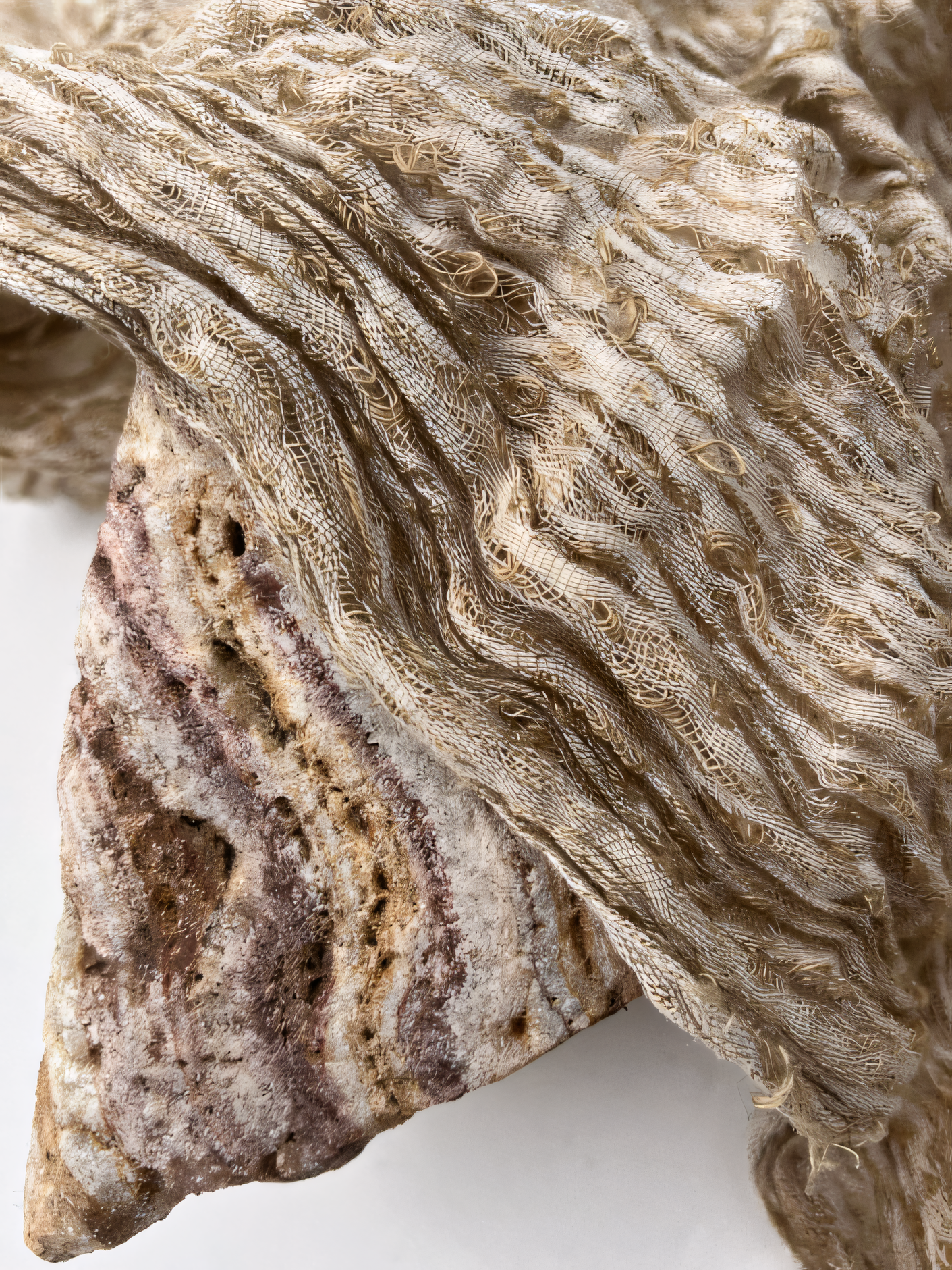 Camel Unique Natural Sheer, Textured Cotton Linen Mix Special Fabrics.