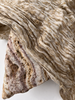 Camel Unique Natural Sheer, Textured Cotton Linen Mix Special Fabrics.